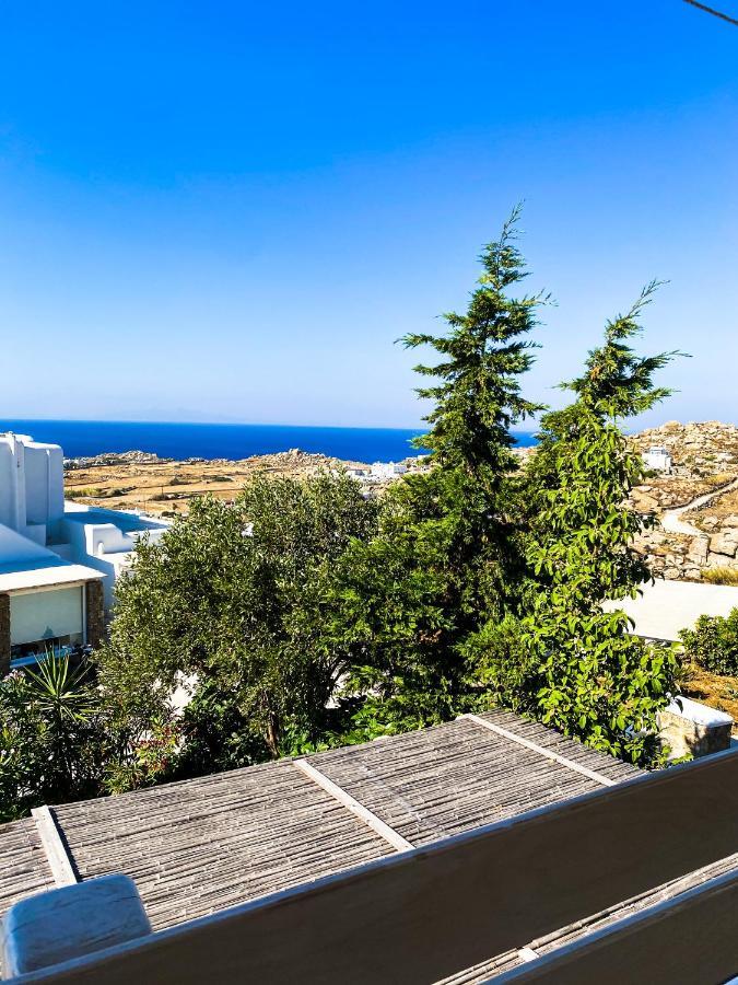 Elma's Summerhouses Appartement Mykonos Town