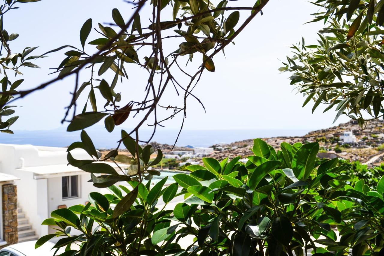 Apartment Elma's Summerhouses Mykonos Town